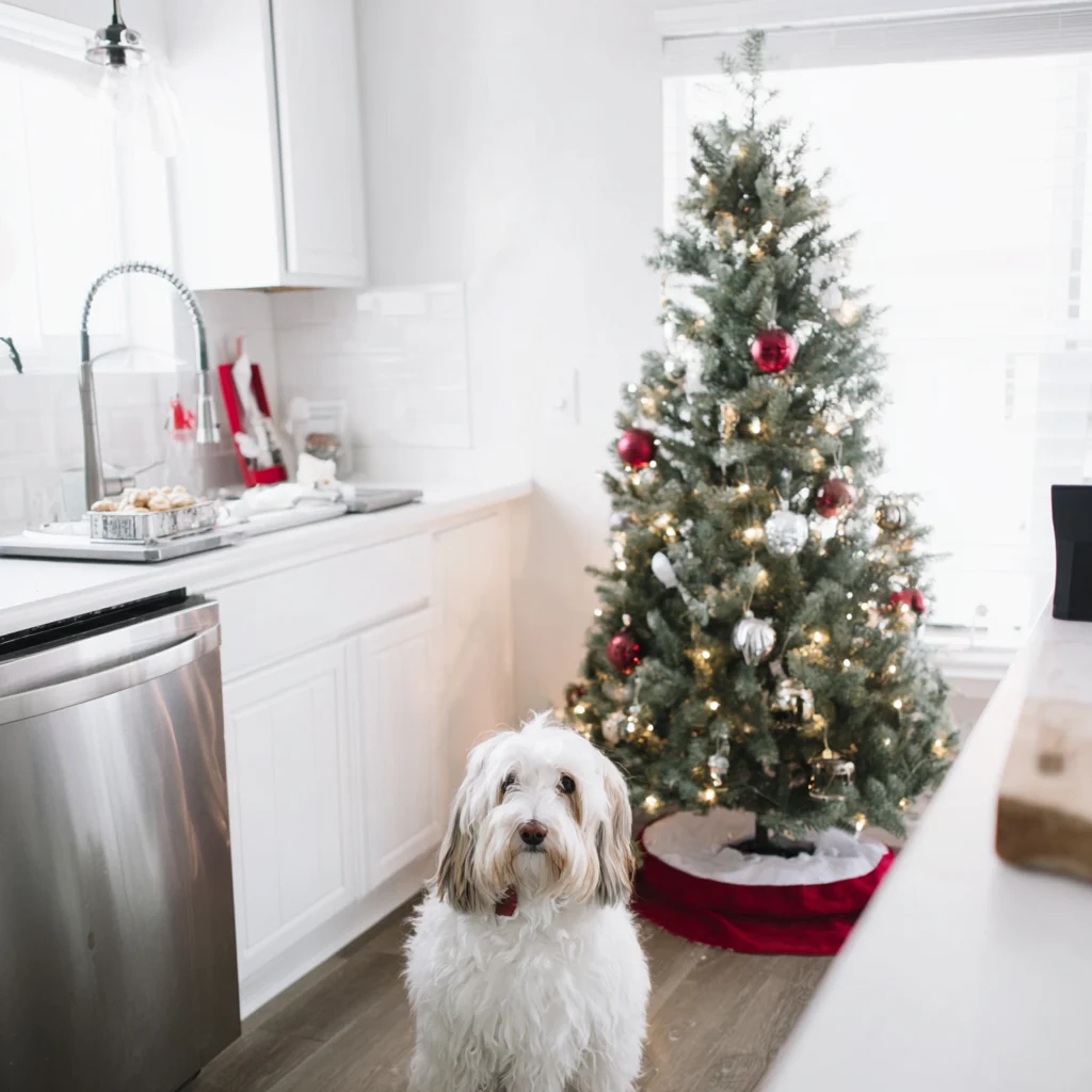 pet-proof your Christmas tree